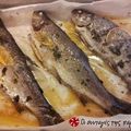 Cooksnap από kalamaraki στη συνταγή Πέστροφες ψητές