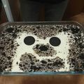 El cooksnap de Carlos rm cuando hizo Tarta fría de chocolate blanco.