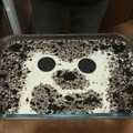El cooksnap de Carlos rm cuando hizo Tarta fría de chocolate blanco.