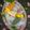 Suparna Sengupta's cooksnap of when they made Tricolour Paneer Rabdi Fruit Truffle.