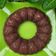 Cooksnap dari Bareta untuk resep Brownies Chocolatos Kukus (No Mixer)