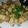 Cooksnap dari Jasmine Adzani untuk resep Tahu cabe garam