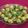 Sangita Vyas's cooksnap of when they made Korean Chilli Garlic Potato Bites.