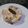 El cooksnap de Empar cuando hizo Ensaladilla York con pepinillos.