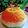Mamta Jain's cooksnap of when they made Tri color pulao.