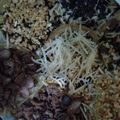Cooksnap dari Murani Dwihapsari untuk resep Martabak Manis mini🌿