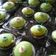 Cooksnap dari Arik Yunita (Paon RaRe) untuk resep Bolu praktis