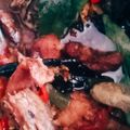 Cooksnap dari Henny Murniati untuk resep Pesmol ikan mas ala Bu Santy