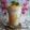 Cooksnap dari Mama fathan untuk resep Freshmilk Mango Yakult