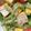 Cooksnap dari cxcxabrxwn untuk resep Sayur tumis labu siam