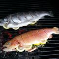kingplumber's cooksnap of when they made Smoked Rainbow trout.