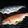 kingplumber's cooksnap of when they made Smoked Rainbow trout.