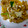 chun手作料理食堂 的 金沙苦瓜 cooksnap