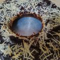 Cooksnap dari melida suryani untuk resep Brownies shinny crust