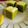 Cooksnap dari Achie untuk resep Brownies Pandan (Gluten Free)