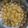 Cooksnap dari yunika sahali untuk resep Nastar Lembut Renyah Lumer + tips biar tdk mudah jamuran (cookies)