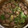 Cooksnap dari dessi anggreani untuk resep Kuah Bakso Simple Tanpa Kaldu Tulang