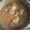 El cooksnap de matiasortizgarcia cuando hizo Conejo en salsa de cebolla.