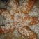 Cooksnap dari Thaniia Destiianty Restu untuk resep Pisang goreng krispi, bikinramadhanberkesan