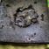 Cooksnap dari endah rahmah untuk resep Brownies Kukus Ny.Liem