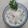 Pooja Jaymin Naik's cooksnap of when they made ગુજરાતી કઢી.(Gujarati kadhi recipe in Gujarati).
