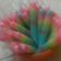 Cooksnap dari vivimarli untuk resep Es Lilin Pelangi 🌈