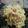 Cooksnap dari dds untuk resep Mac & Cheese simple
