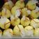 Cooksnap dari Irishyani untuk resep Es goreng jadul alias es potong