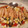 El cooksnap de Miguel cuando hizo Mojete (ensalada con tomate de lata de conserva).