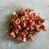Cooksnap dari siti ambar alya hanifah untuk resep Cumi asin balado