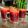 Mina dmr's cooksnap of when they made Amla Carrot Beetroot Detox Juice.