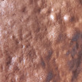 El cooksnap de Roxana Elizabeth Arnedo cuando hizo Brownie con cacao, la mejor receta!.