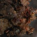 Cooksnap dari Ria Kusumawardani untuk resep Sate goreng #FestivalResepAsia #Indonesia #Sapi