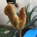 Cooksnap dari Ummu Omar untuk resep Sempol Sederhana