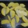 Cooksnap dari nita natalia untuk resep Kentang panggang(bisa di oven/di teflon)
