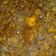 Cooksnap dari Nurbaety Fitri untuk resep Kicik daging sapi
