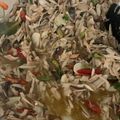 Cooksnap dari Orysa Rizky Sophia Dewi untuk resep Tumis Nangka Muda / Tumis Gori
