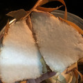 Cooksnap dari fitria fifakila untuk resep Ketupat Lebaran (metode 15.30.15)