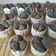 Cooksnap dari Mama Upay untuk resep Bolu Kukus Ketan Hitam mekar