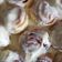Csizmadia Piros Cooksnap-ja, amikor elkészítette a(z) Cinnabon-Fahéjas csiga receptet.