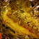 Ryan Goodwin's cooksnap of when they made Buttered Garlic Cod Filets.