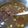 Cooksnap dari yekti untuk resep Rawon