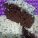 Cooksnap dari Septi Wironawati untuk resep Brownies Kukus Chocolatos
