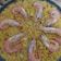 El cooksnap de Luis Carlos Fernandez Garcia cuando hizo Paella de marisco.