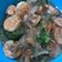 Cooksnap dari belajarmasak untuk resep Brokoli udang saus tiram