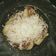 Cooksnap dari Safira PS untuk resep Pisang epe (pisang gepeng)