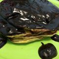 Cooksnap dari Eva wulandari untuk resep Fluffy Banana Pancake