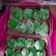 Cooksnap dari Sam's untuk resep Mochi Pandan Isi Kacang