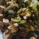 Cooksnap dari Peggy Valentina untuk resep Cah sayur asin tahu