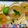 Manisha's Desi kitchen's cooksnap of when they made Aam panna.